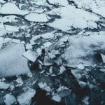 Floating Homes: Living on Water in the Age of Climate Change