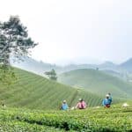 Biotech Safety Officers: Life Science Security