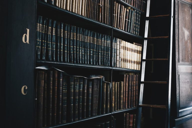 Corporate Legal Disruptors: New Practice Models