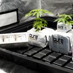 Urban Garden Automation: Set-and-Forget Growing Systems