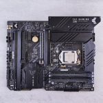 Living Buildings: Architecture That Breathes