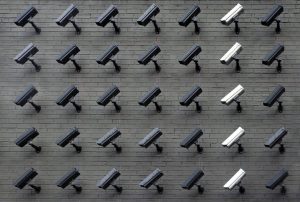 Digital Rights Defenders: Privacy Law Champions